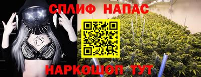 гидропоника Бийск