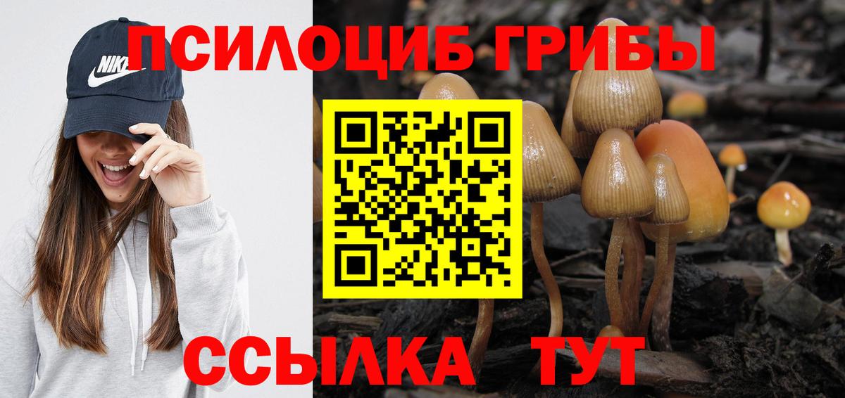 Псилоцибиновые грибы прущие грибы  Вход с VPN  Гусиноозёрск 